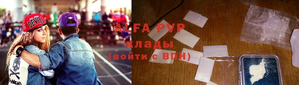 стафф Вяземский