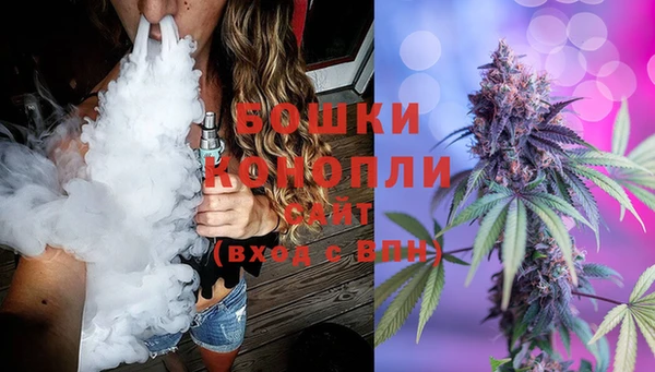 шишки Вязники