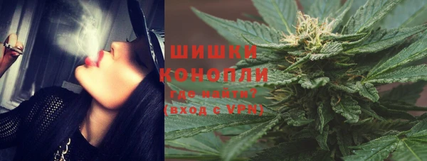 шишки Вязники