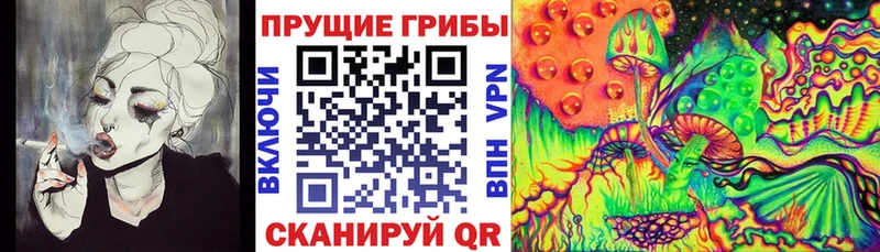 сайты даркнета состав  Гусь-Хрустальный  Псилоцибиновые грибы Psilocybe 